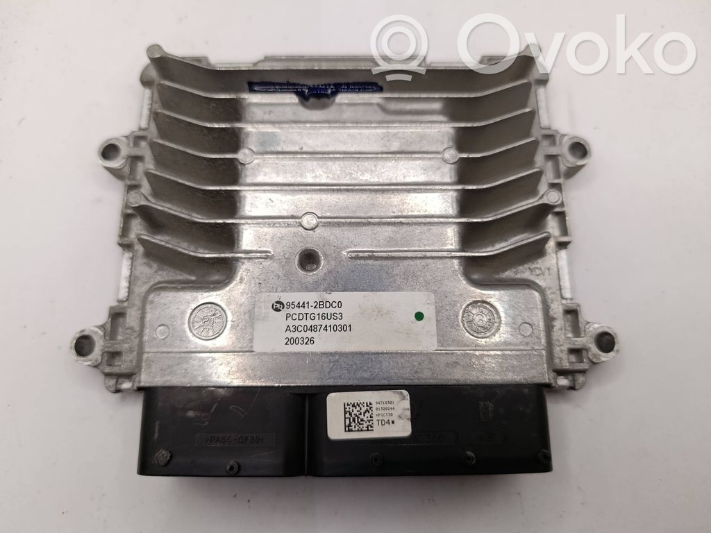 Engine control unit/module   954412BDC0,PCDTG16US3,A3C0487410301,A2C90747500