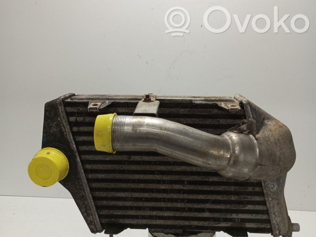 Audi A8 S8 D3 4E Interkūlerio radiatorius 