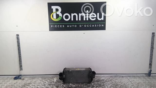 Intercooler radiator   282702A770
