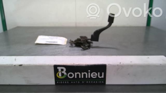 Citroen DS5 Engine bonnet/hood lock/catch 