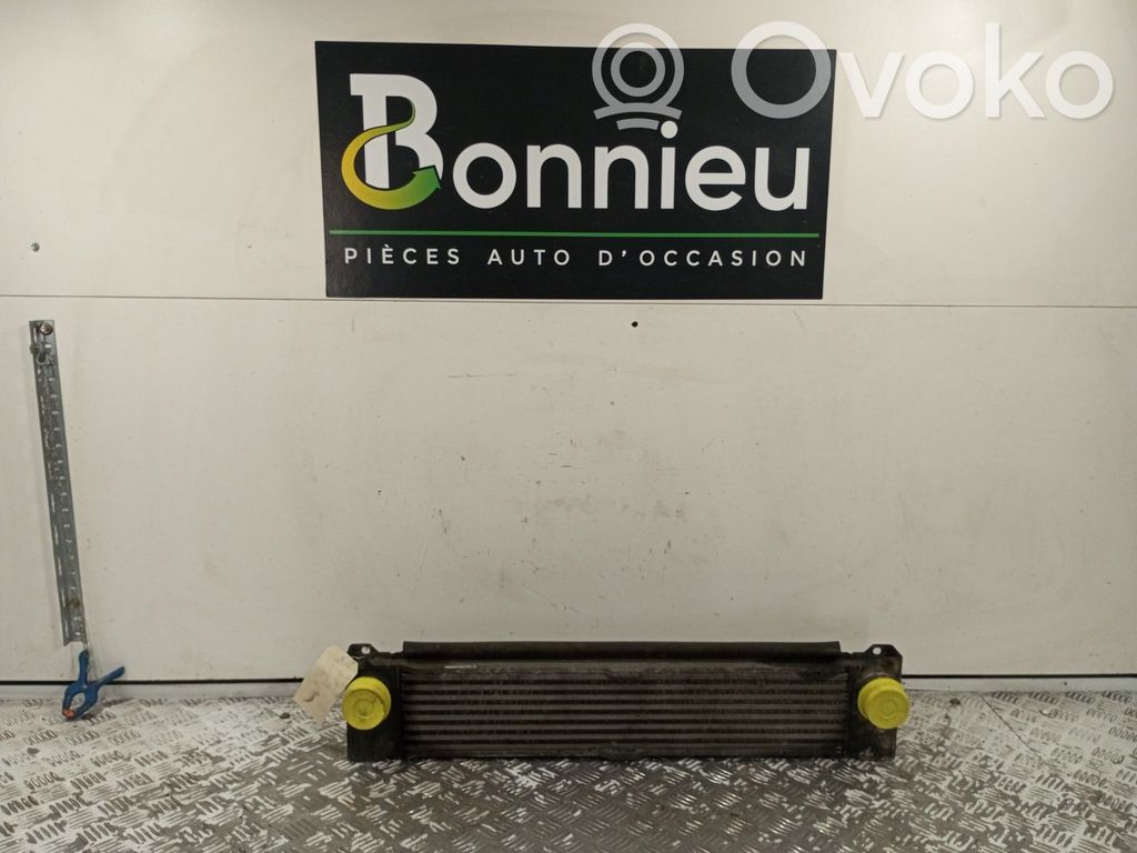 Mercedes-Benz Vito Viano W639 Chłodnica powietrza doładowującego / Intercooler 