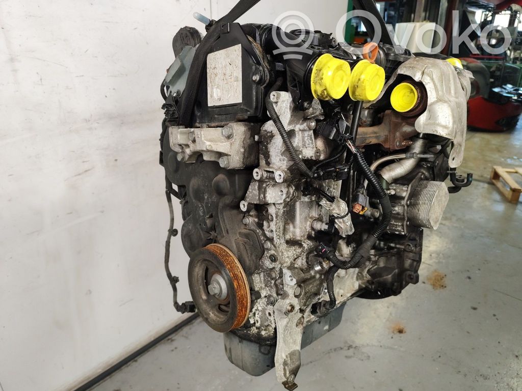 Motor   0135SW