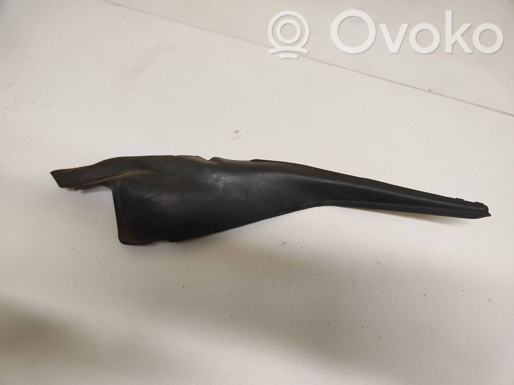 Chrysler Pacifica Windshield trim 