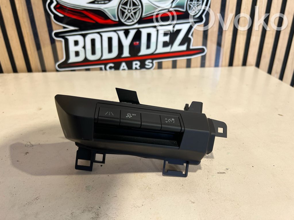 Other switches/knobs/shifts   252735012R