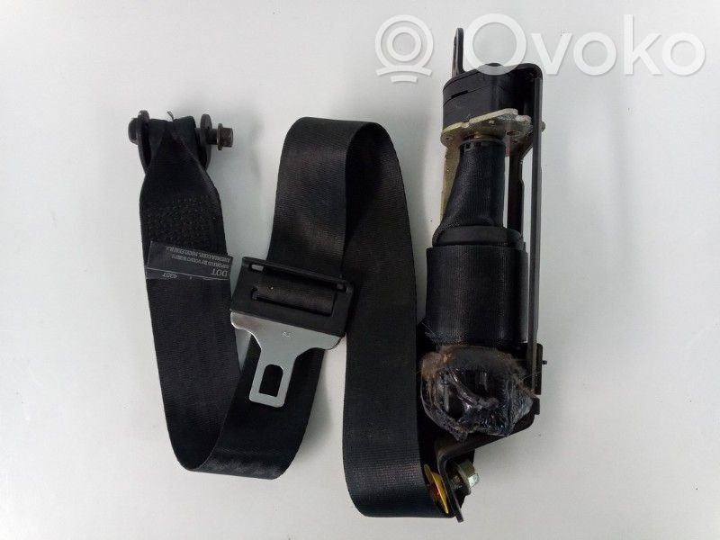 Cinturón delantero   3525091,3525091