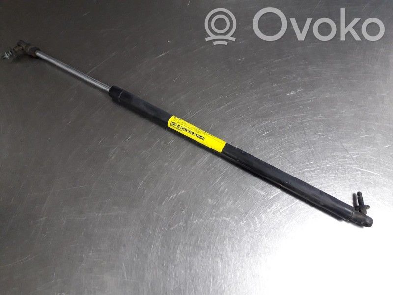 Chrysler Voyager Ammortizzatore portellone posteriore/bagagliaio 