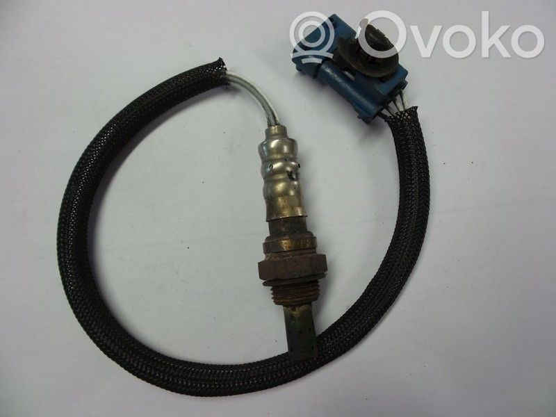 Sonda lambda   V7548961,V7548961
