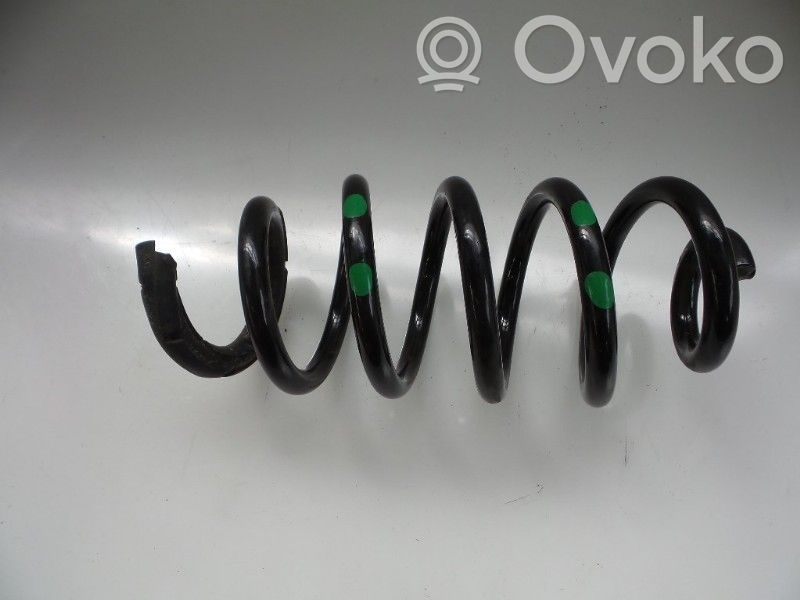 Rear coil spring