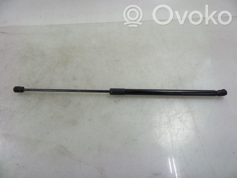 Tailgate/trunk strut/damper   315005777,13428038,13428038,315005777