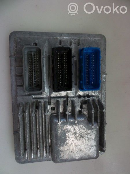 Injection control unit/module   12666191,1310101000000X,12666191,1310101000000X,811839393