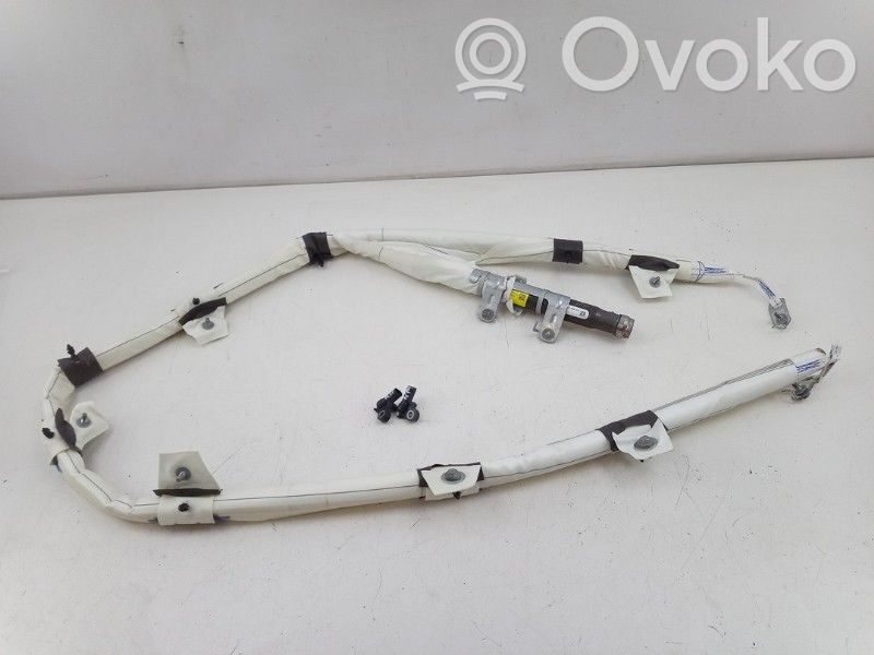 Tesla Model 3 Airbag del techo 