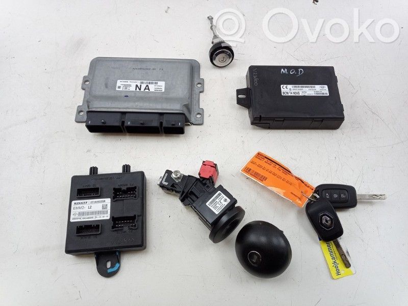 Injection control unit/module   285910001R,231A09335R,231A09335R,237103621S,244B15098R,285910001R