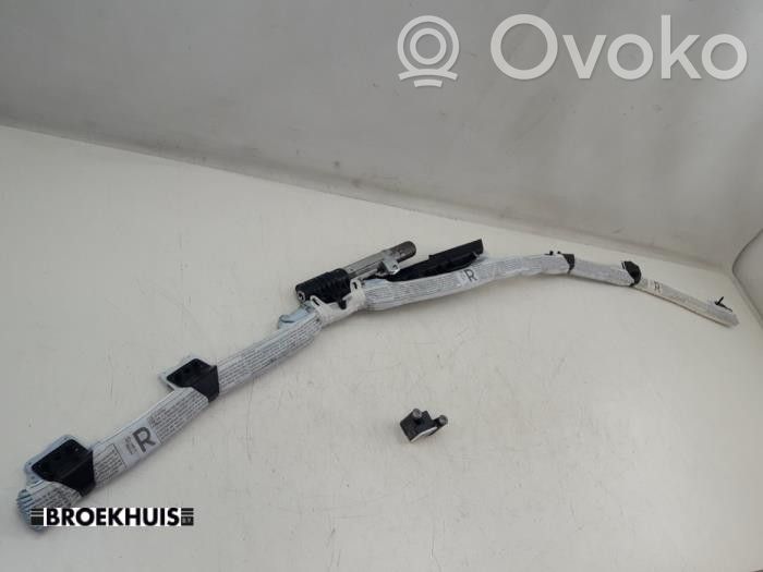 BMW X1 E84 Airbag del techo