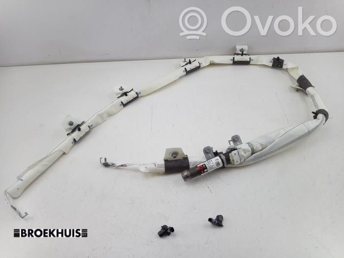 Tesla Model 3 Airbag da tetto 