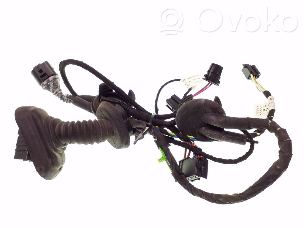 Audi A6 S6 C6 4F Cableado de puerta trasera 