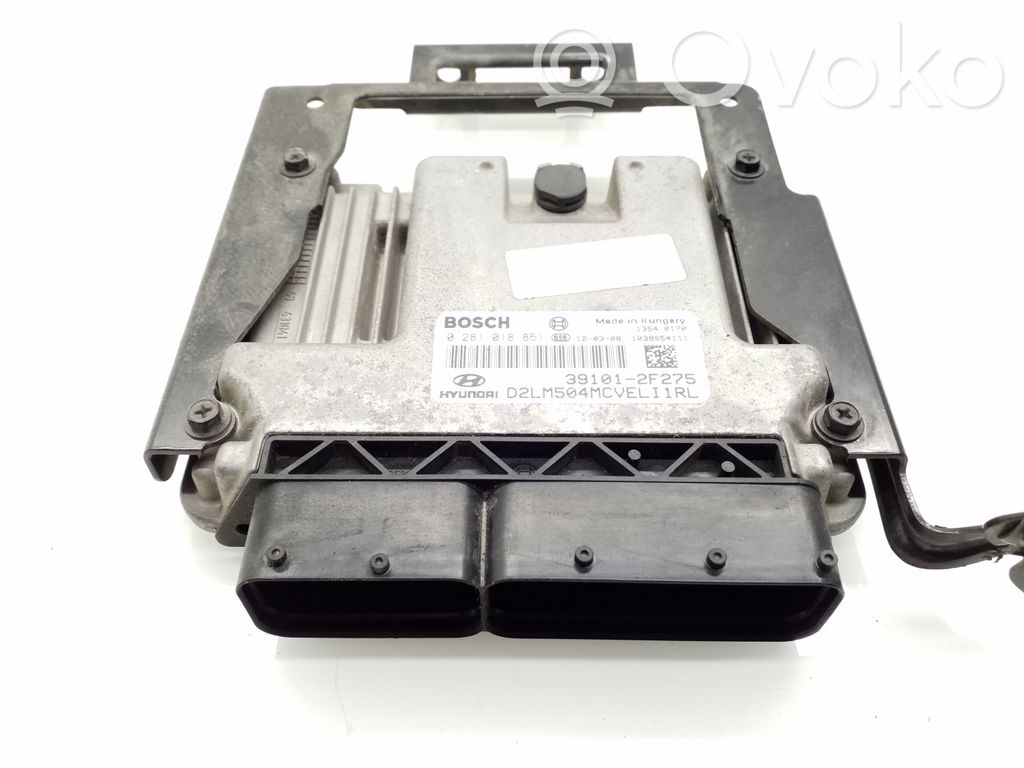 Engine control unit/module   391012F275,0281018851
