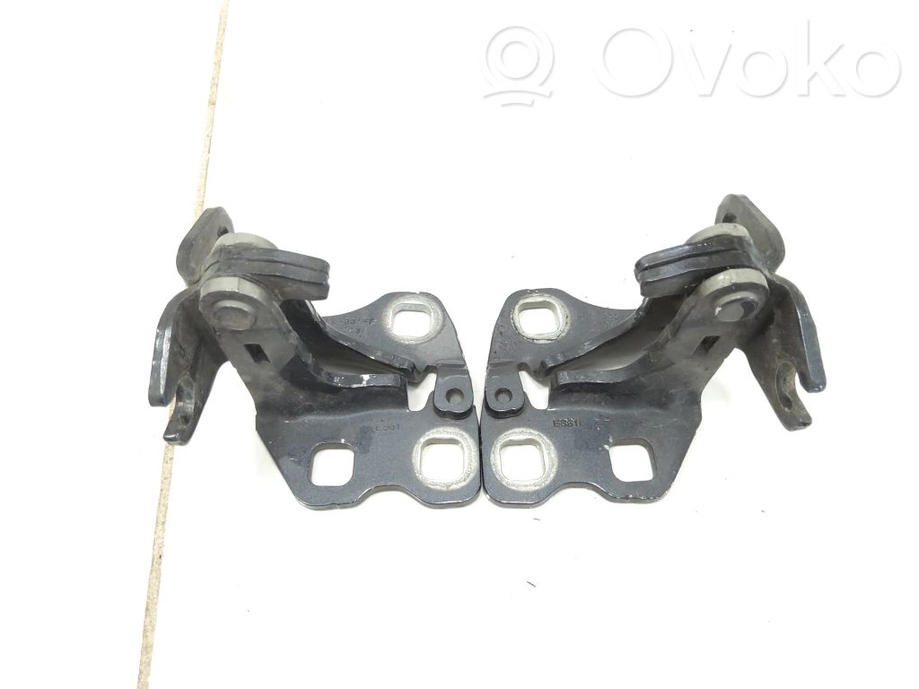 Tesla Model 3 Rear door lower hinge 
