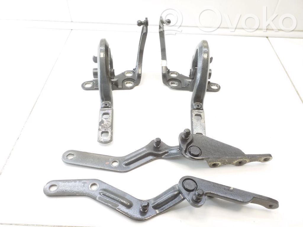 Tesla Model X Rear door hinge set 