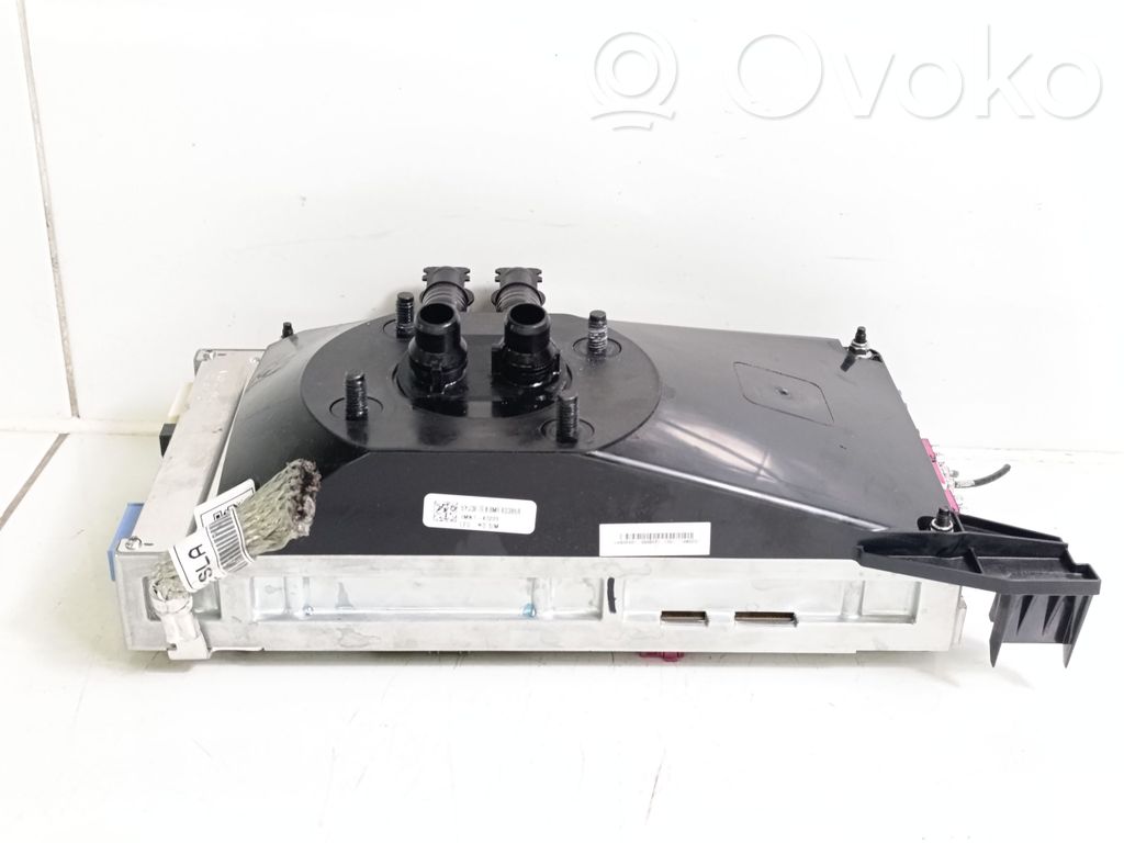 Tesla Model 3 Other control units/modules 