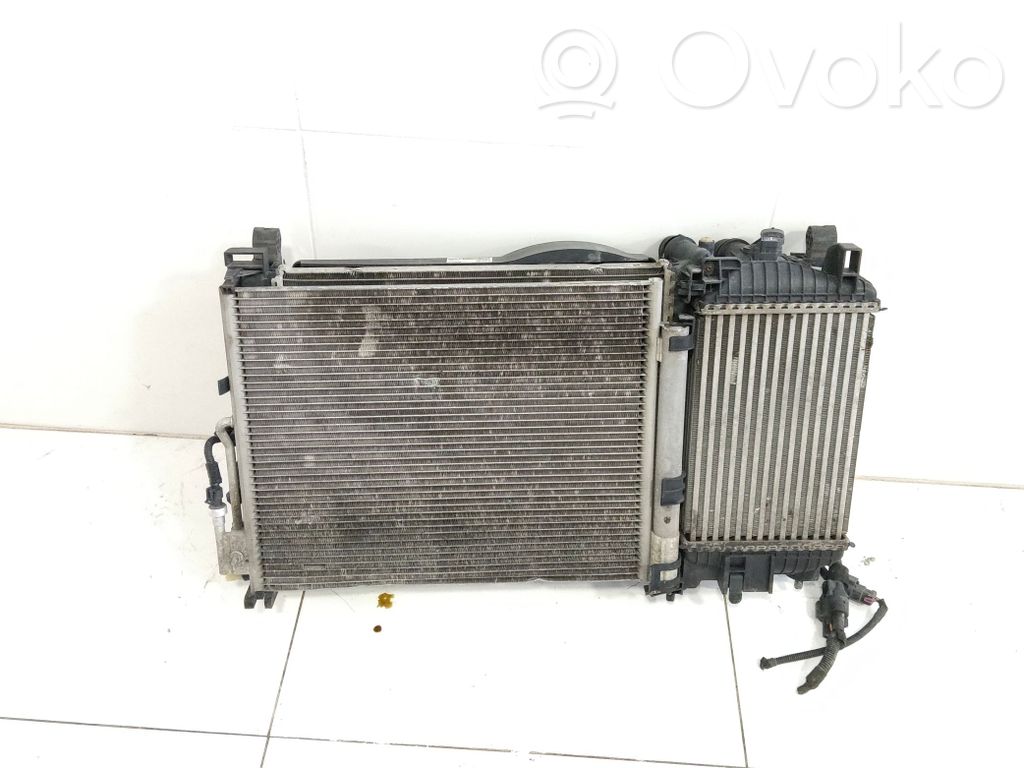 Opel Meriva B Chłodnica / Komplet 