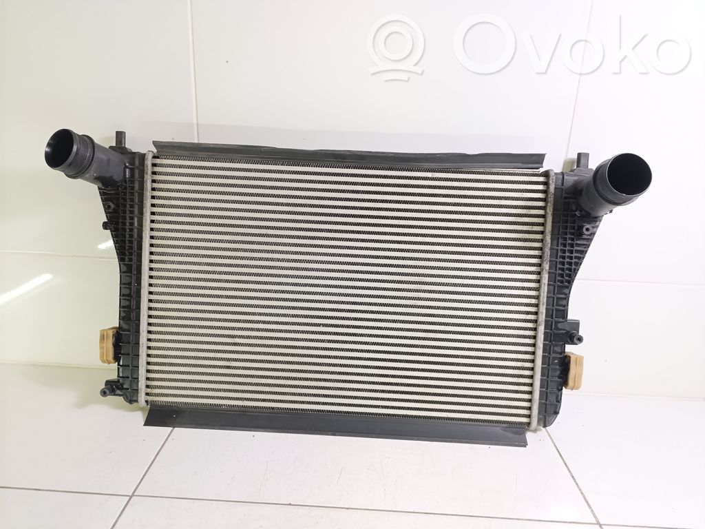 Volkswagen PASSAT B6 Interkūlerio radiatorius 