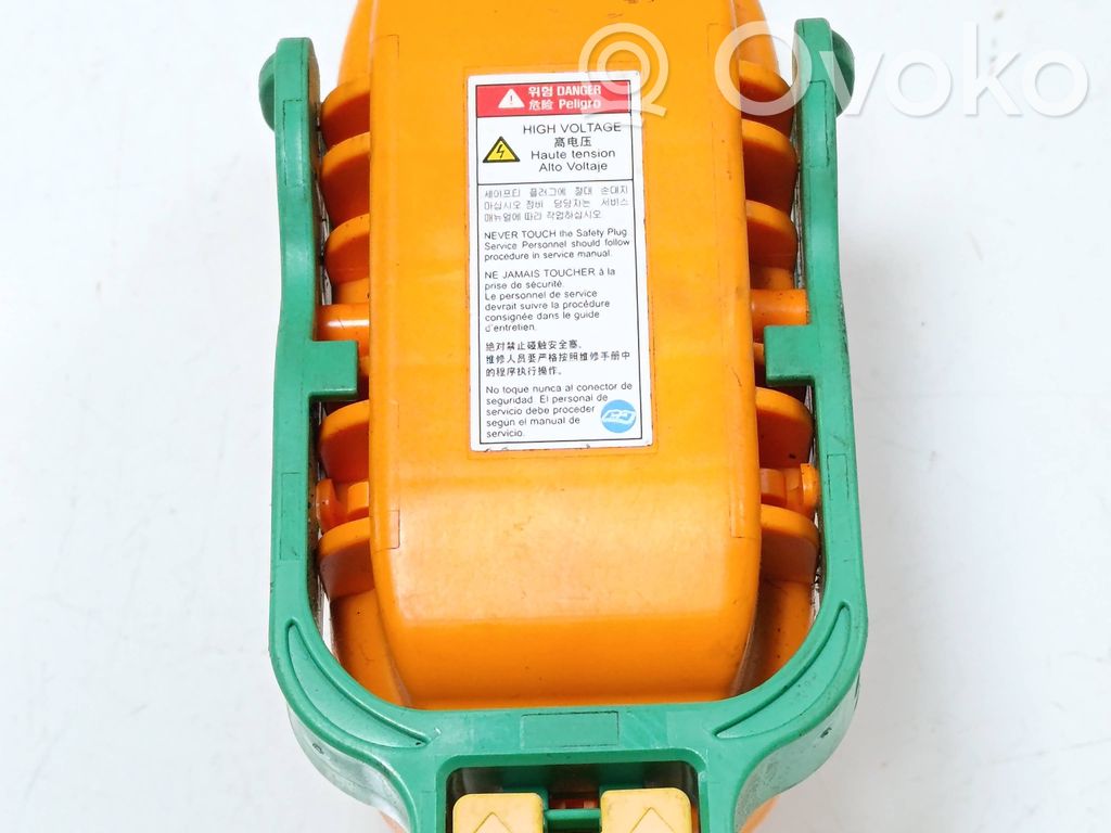 Hyundai Ioniq Fusible