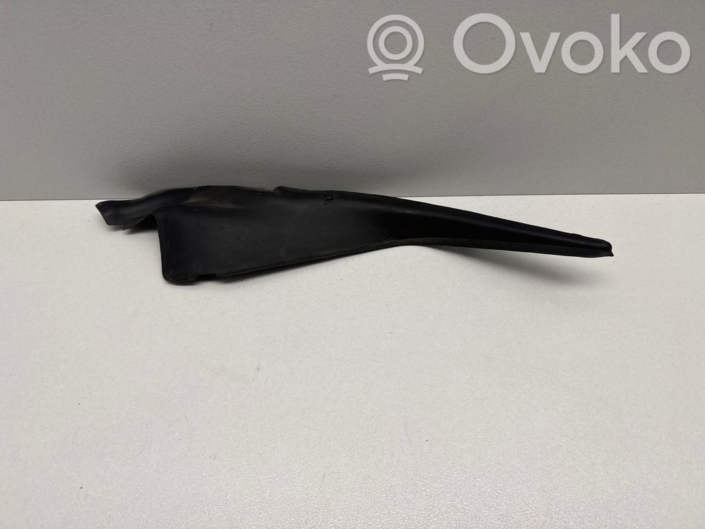 Chrysler Pacifica Windshield trim 