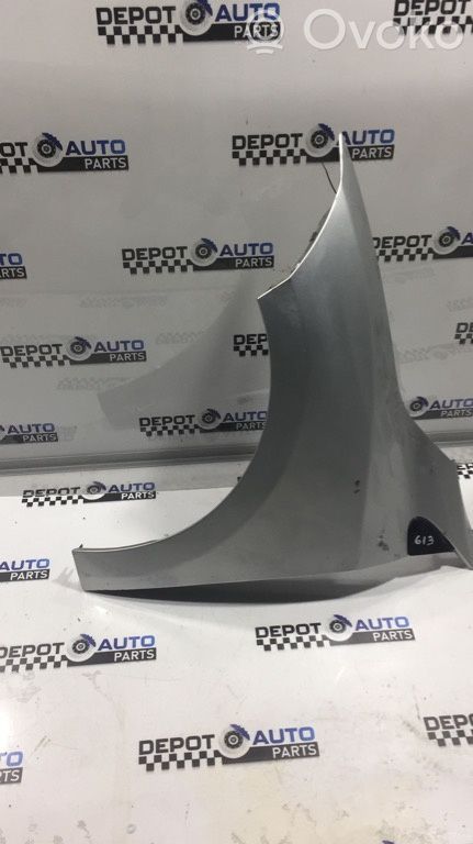 Renault Megane III Fender 
