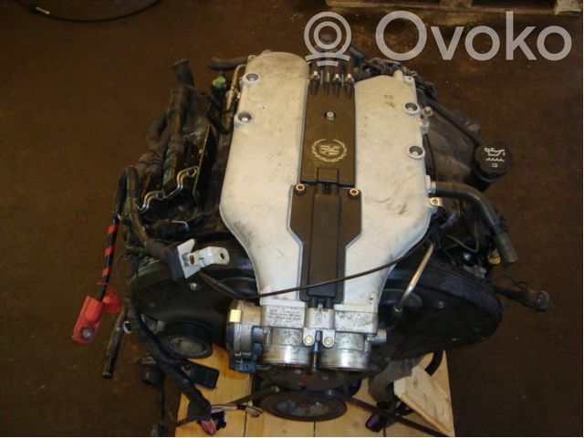 Engine   30006032