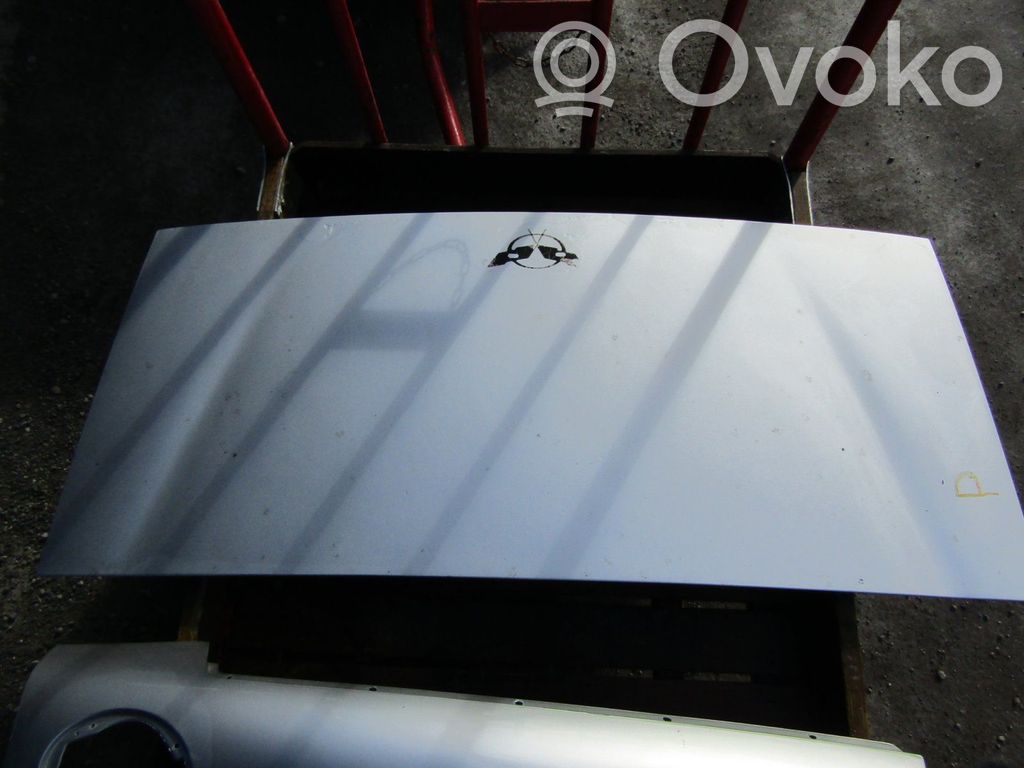 Tailgate/trunk/boot lid   17001803