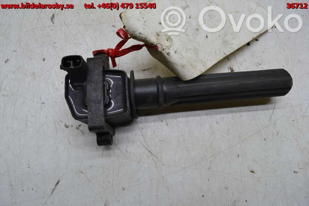 High voltage ignition coil   6102824