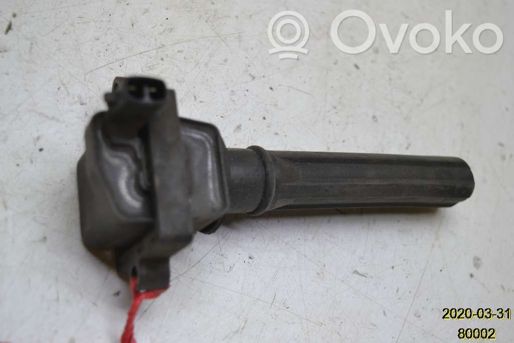 High voltage ignition coil   6102824