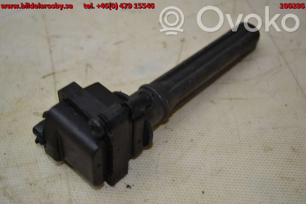 High voltage ignition coil   6102824