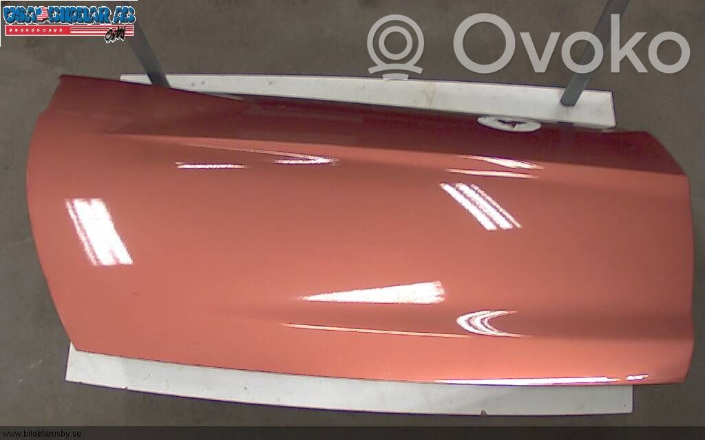 Дверь   12003172R