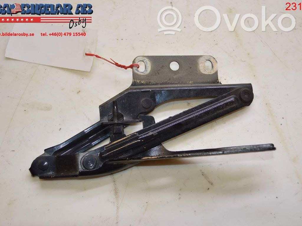 Engine bonnet/hood hinges
