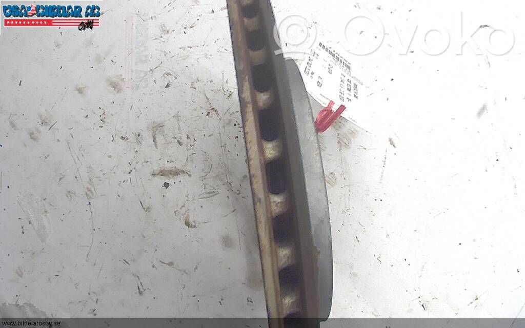 Ford Mustang V Galinis stabdžių diskas 