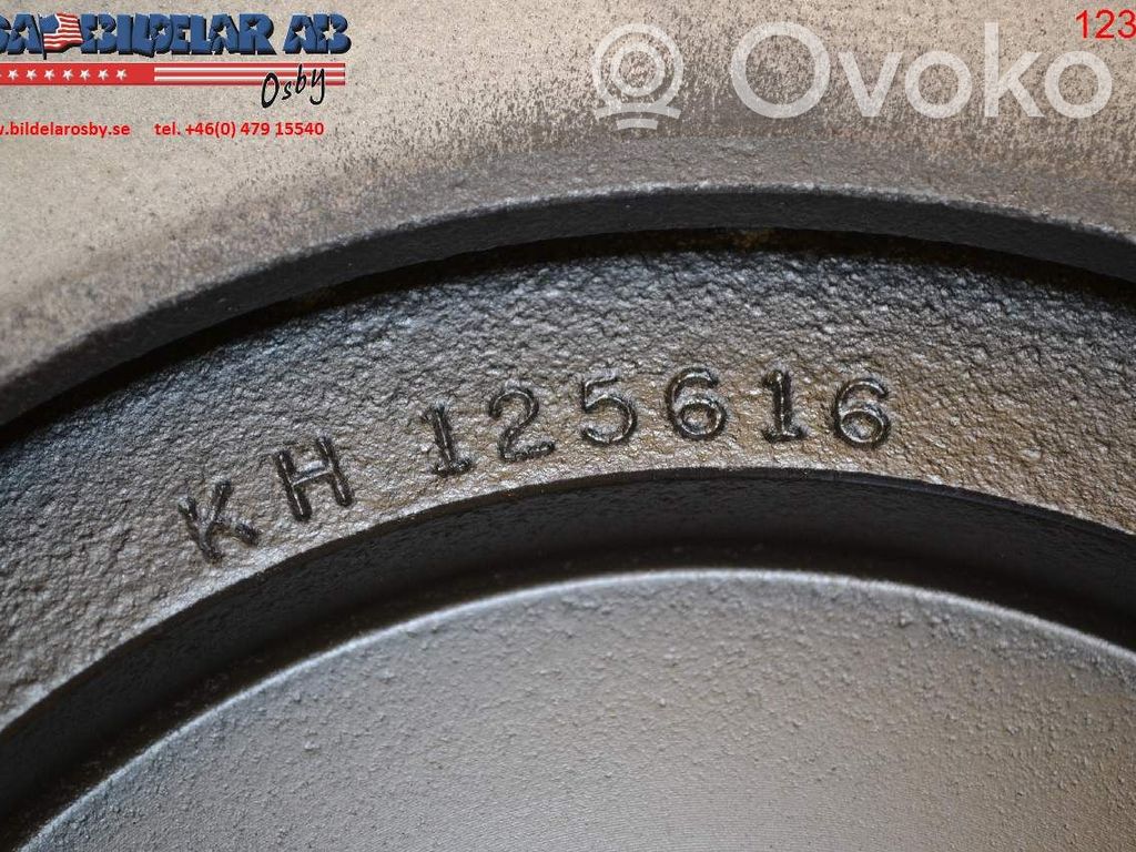 Rear brake disc   53302229