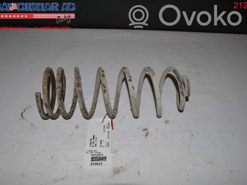 Chevrolet Camaro Rear coil spring 