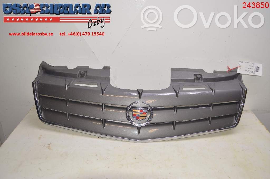 Front bumper lower grill   10401823