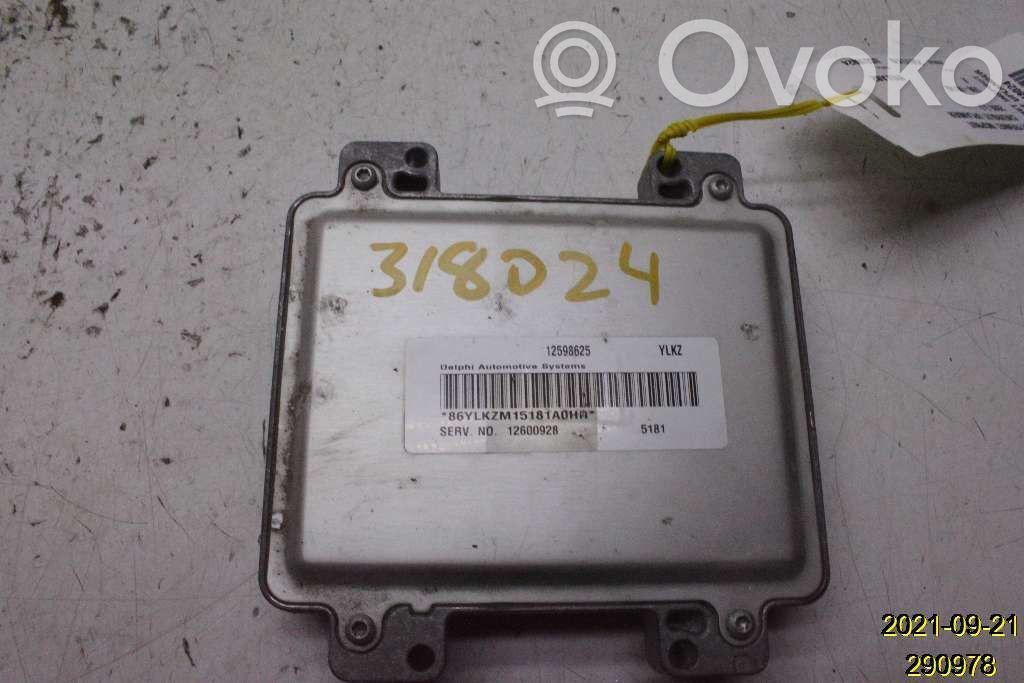 Injection control unit/module   12600928,59000140,12598625