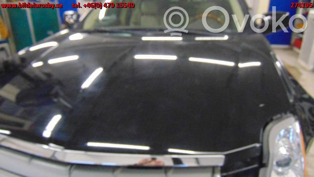 Engine bonnet/hood   11701629