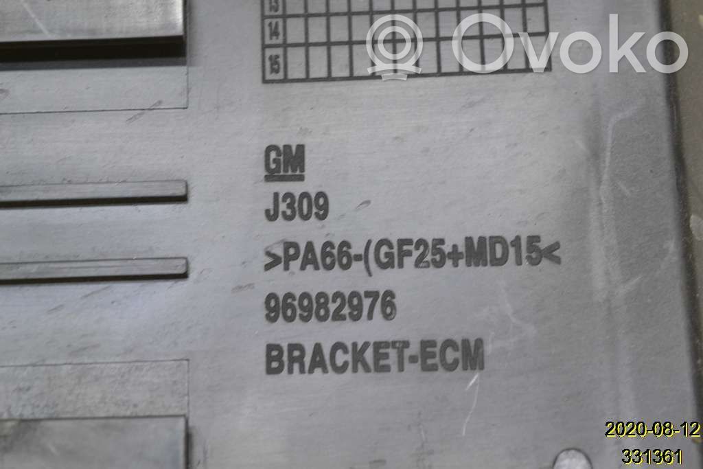 Injection control unit/module   96982976
