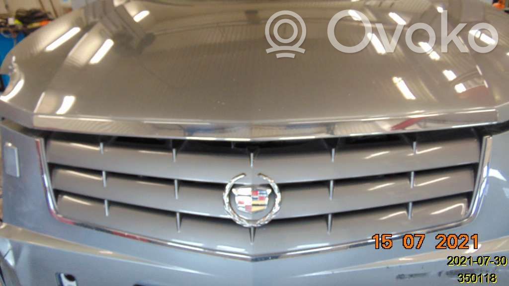 Cadillac SRX Front bumper lower grill 