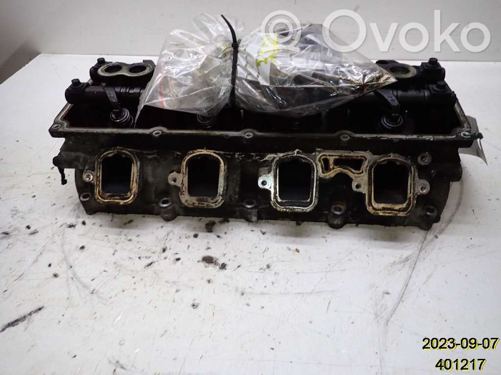 Galvutė   53021609BA,30601891L