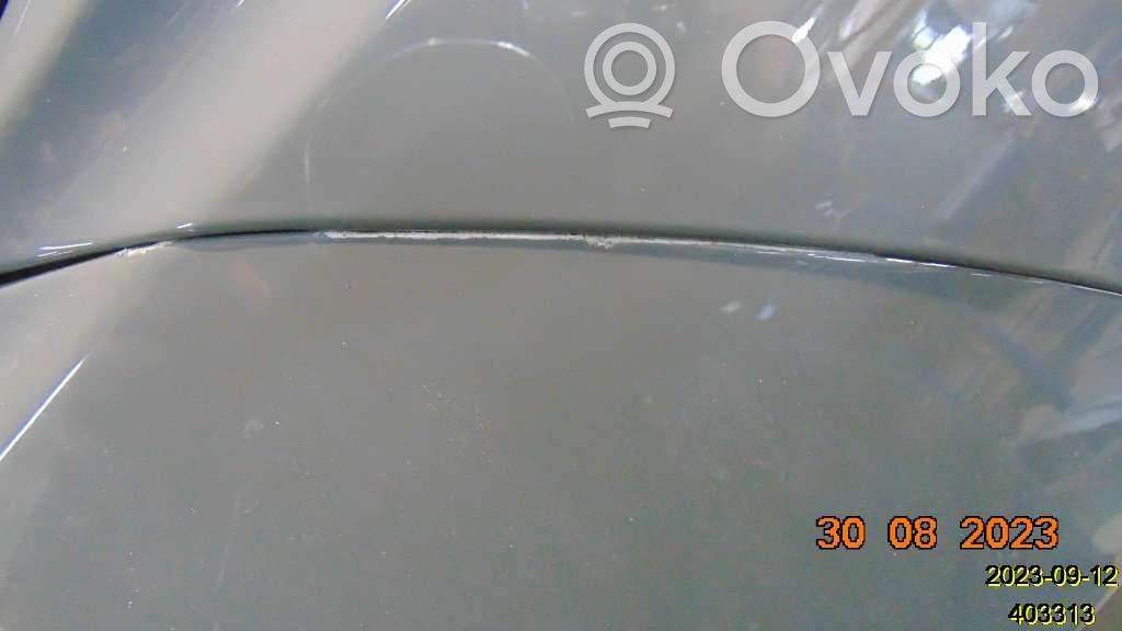 Dodge Challenger Durvis 