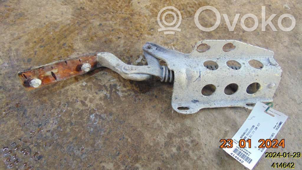 Engine bonnet/hood hinges