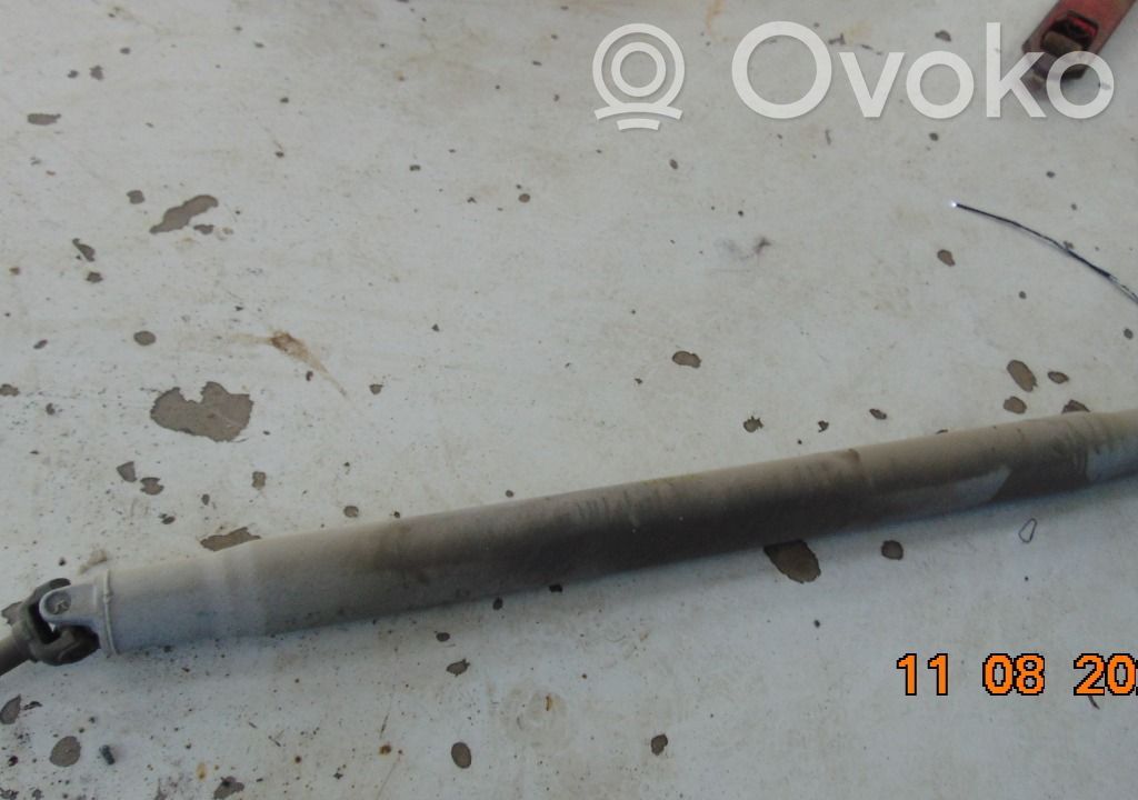 Chevrolet Express Drive shaft (set) 