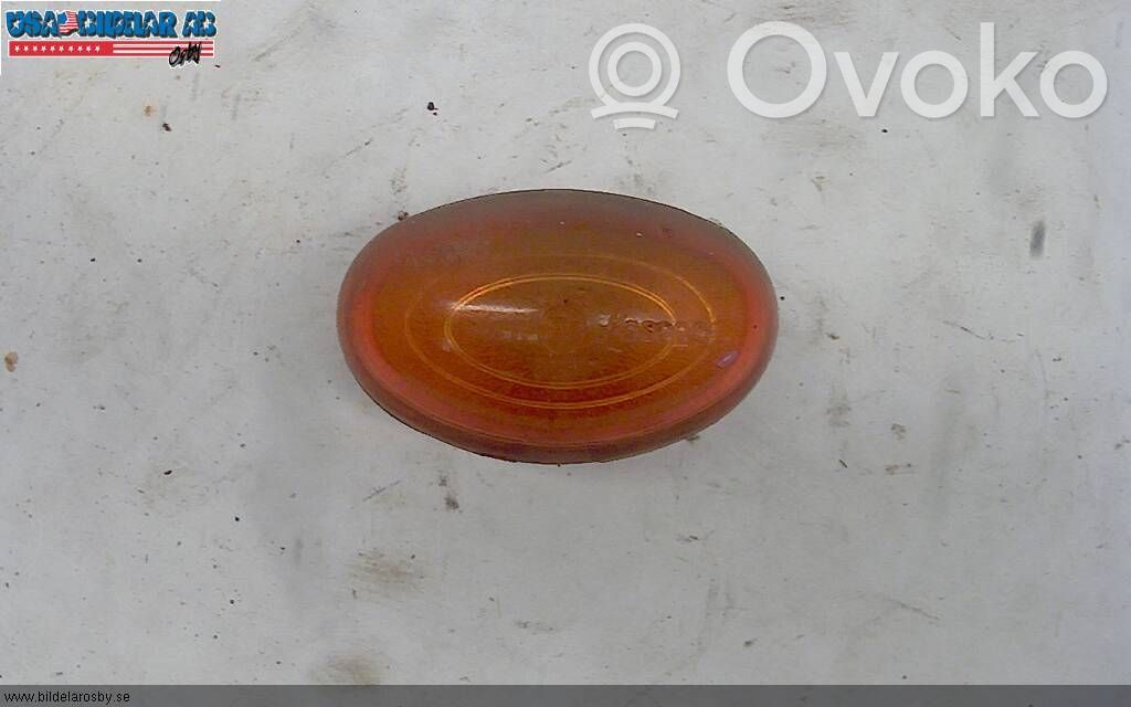 Front fender indicator light