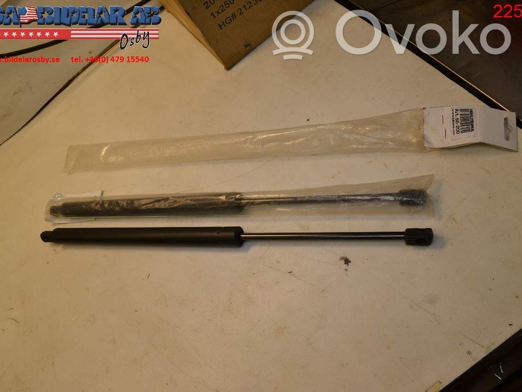 Tailgate strut   68200