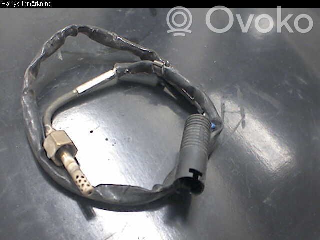 BMW 3 E46 Sensor de temperatura del escape 